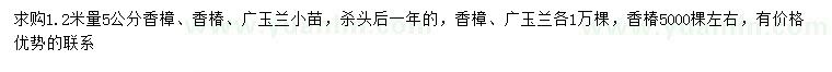 求购香樟小苗、香椿小苗、广玉兰小苗