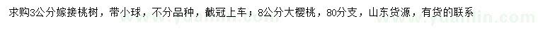 求购3公分嫁接桃树、8公分樱桃