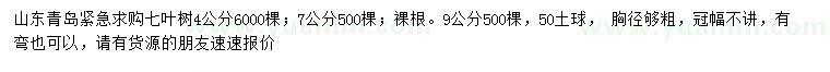 求购4、7、9公分七叶树