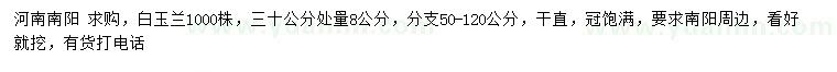 求购30公分处量8公分白玉兰