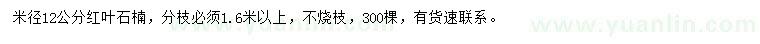 求购米径12公分红叶石楠