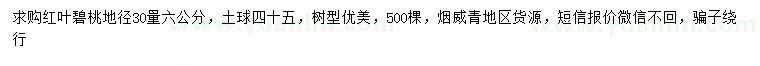 求购地径30量6公分红叶碧桃