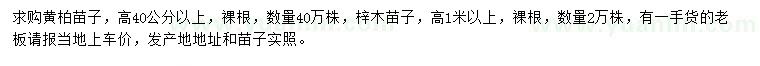 求购高40公分以上黄柏苗子、1米以上梓木苗子