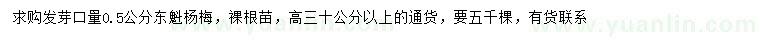 求购高30公分以上东魁杨梅