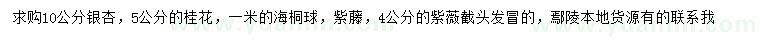 求购银杏、桂花、海桐球等