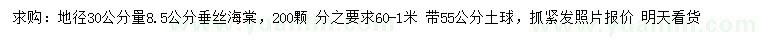 求购地径30公分量8.5公分垂丝海棠