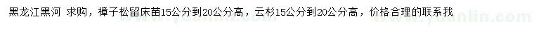 求购15-20公分樟子松、云杉