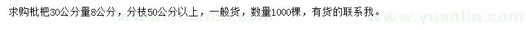 求购30公分量8公分枇杷