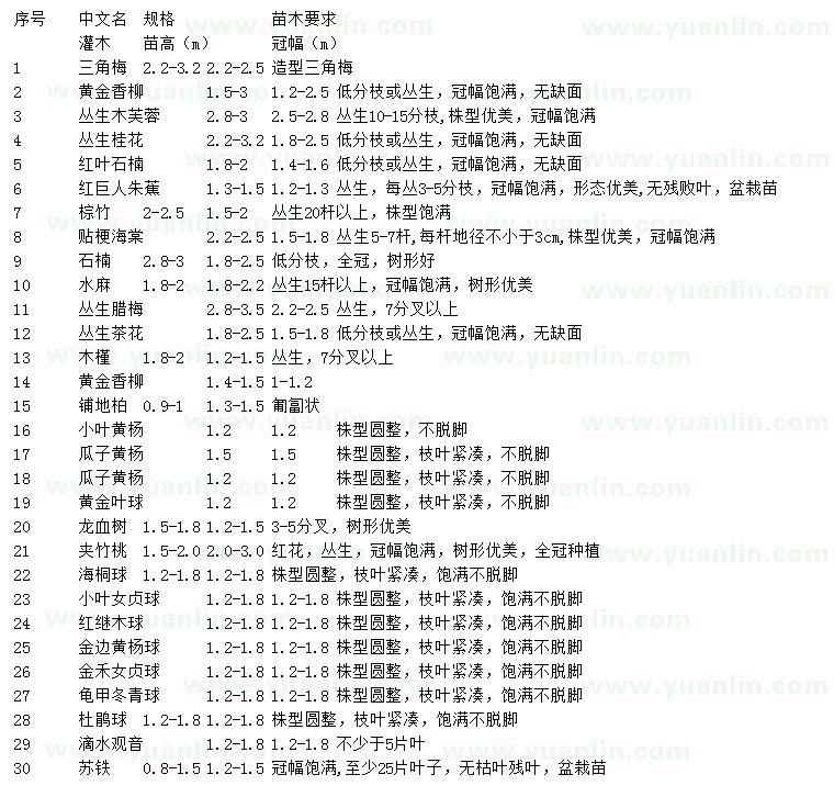 求购三角梅、黄金香柳、丛生木芙蓉等