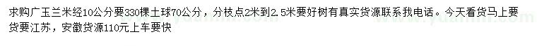 求购米径10公分广玉兰