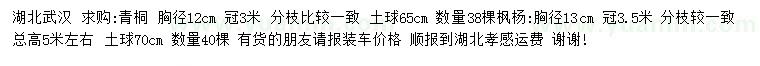 求购胸径12公分青桐、13公分枫杨