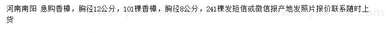 求购胸径8、12公分香樟