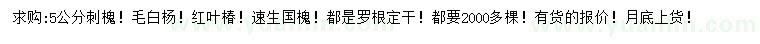 求购刺槐、毛白杨、红叶椿等