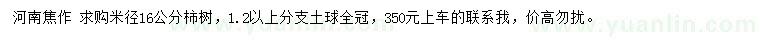 求购米径16公分柿树