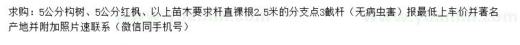 求购5公分构树、红枫