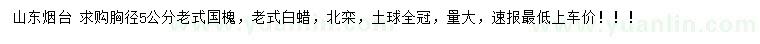 求购老式国槐、老式白蜡、北栾