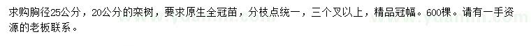 求购胸径20、25公分栾树