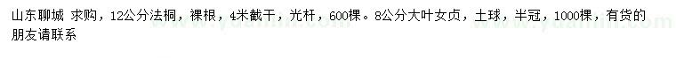 求购12公分法桐、8公分大叶女贞