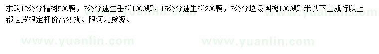 求购榆树、速生垂柳、国槐等