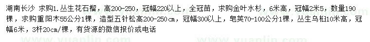 求购丛生花石榴、金叶水杉、重阳木等