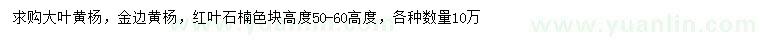 求购大叶黄杨、金边黄杨、红叶石楠色块