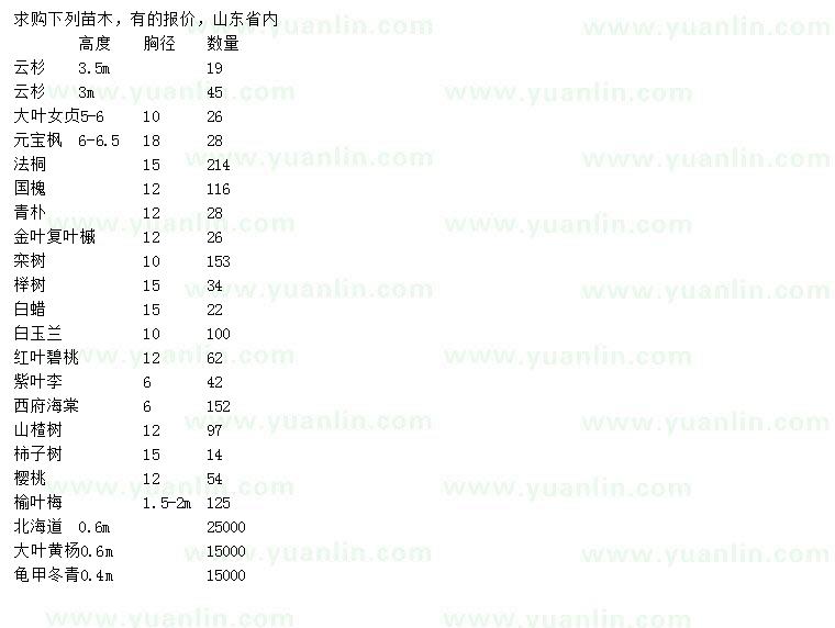 求购云杉、大叶女贞、元宝枫等