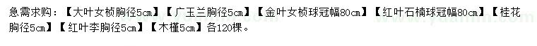 求购大叶女贞、广玉兰、金叶女贞等