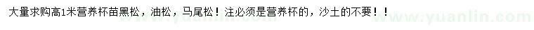 求购黑松小苗、油松小苗、马尾松小苗