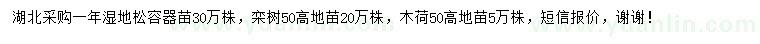 求购湿地松、栾树小苗、木荷