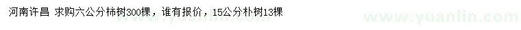 求购6公分柿树、15公分朴树