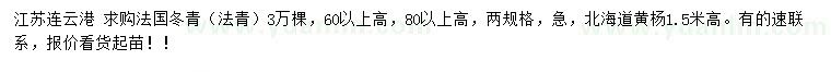 求购高60、80公分以上法国冬青（法青）、1.5米北海道黄杨