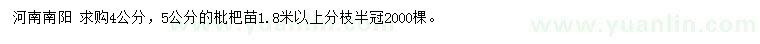 求购4、5公分枇杷苗