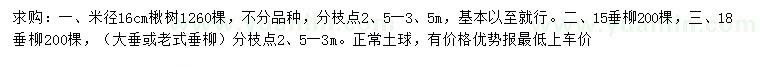 求购楸树、垂柳、柳树