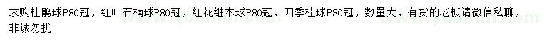 求购杜鹃球、红叶石楠球、红花继木球等