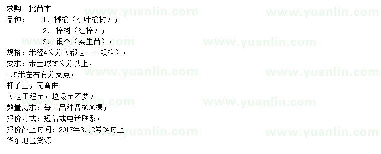 求购小叶榆树、红榉、银杏小苗