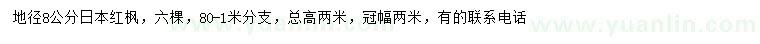 求购地径8公分日本红枫