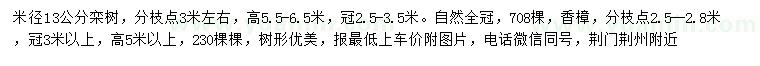 求购米径13公分栾树、香樟