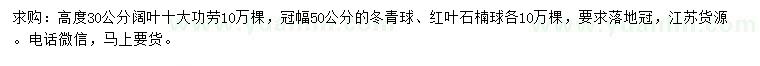 求购阔叶十大功劳、冬青球、红叶石楠球