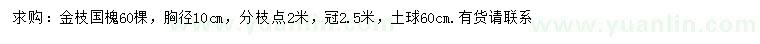 求购胸径10公分金枝国槐