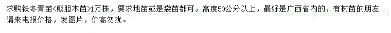 求购高度50公分以铁冬青苗、熊胆木苗