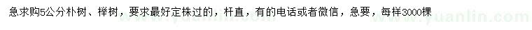 求购5公分朴树、榉树