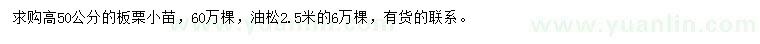 求购高50公分板栗小苗、2.5米油松