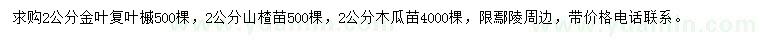 求购金叶复叶槭、山楂苗、木瓜苗