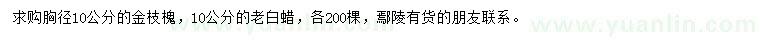 求购胸径10公分金枝槐、老白蜡