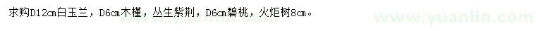 求购白玉兰、木槿、丛生紫荆等