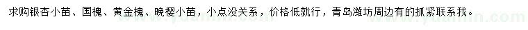 求购银杏小苗、国槐、黄金槐等