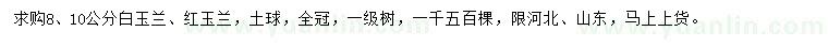 求购8、10公分白玉兰、红玉兰