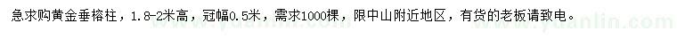 求购高1.8-2米黄金垂榕柱