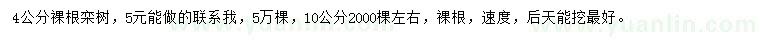 求购4、10公分栾树