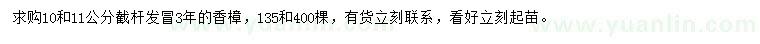 求购10、11公分香樟